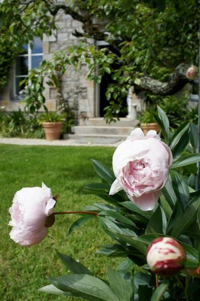 La Maison Les Mimosas Le Minihic-sur-Rance Esterno foto